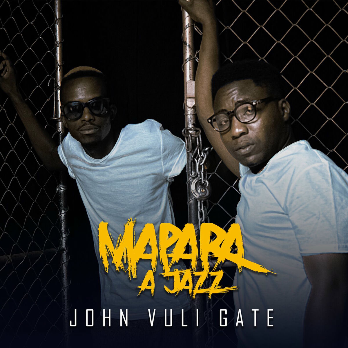 Album cover of John Vuli Gate