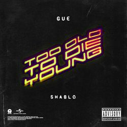Cover of Too Old To Die Young