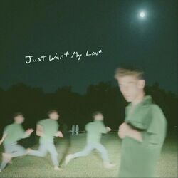 Cover of Just Want My Love