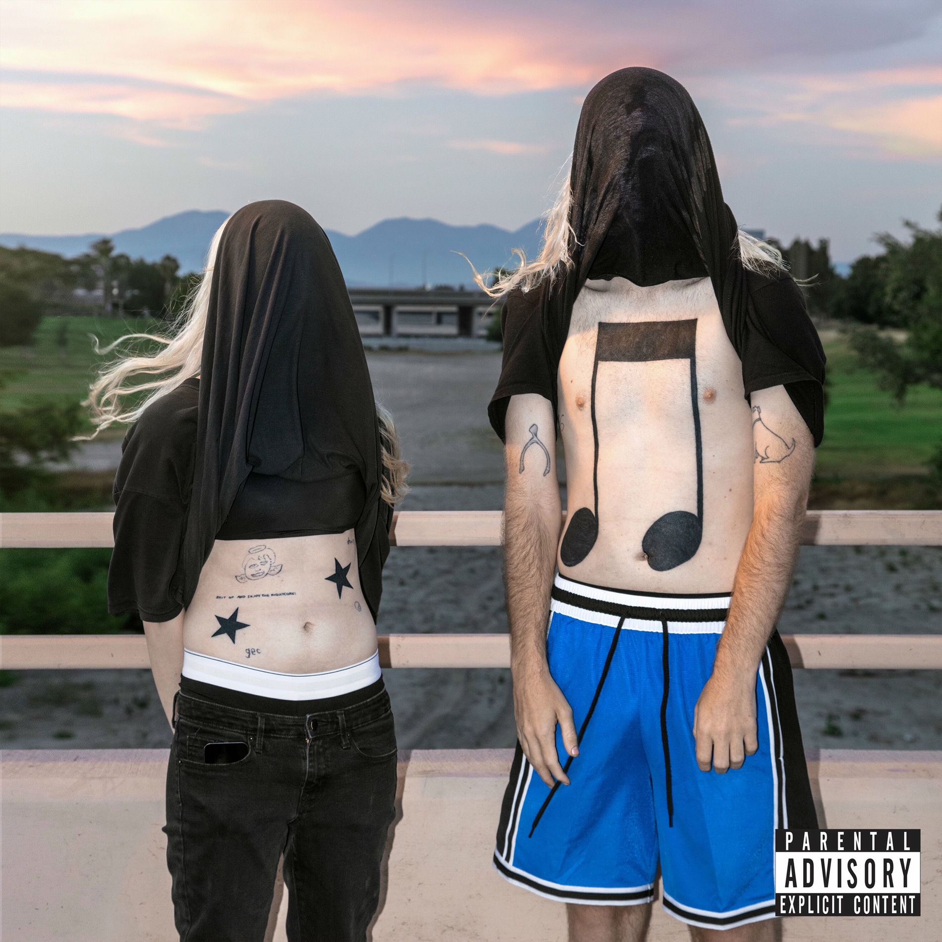 Album picture of 10,000 gecs