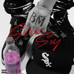Cover of Serio Soy