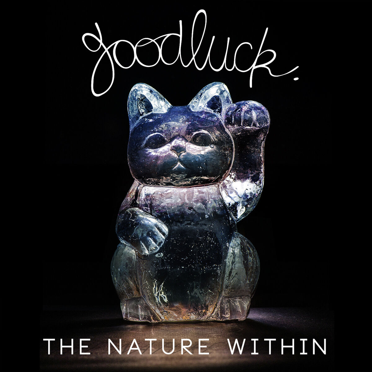Album cover of The Nature Within