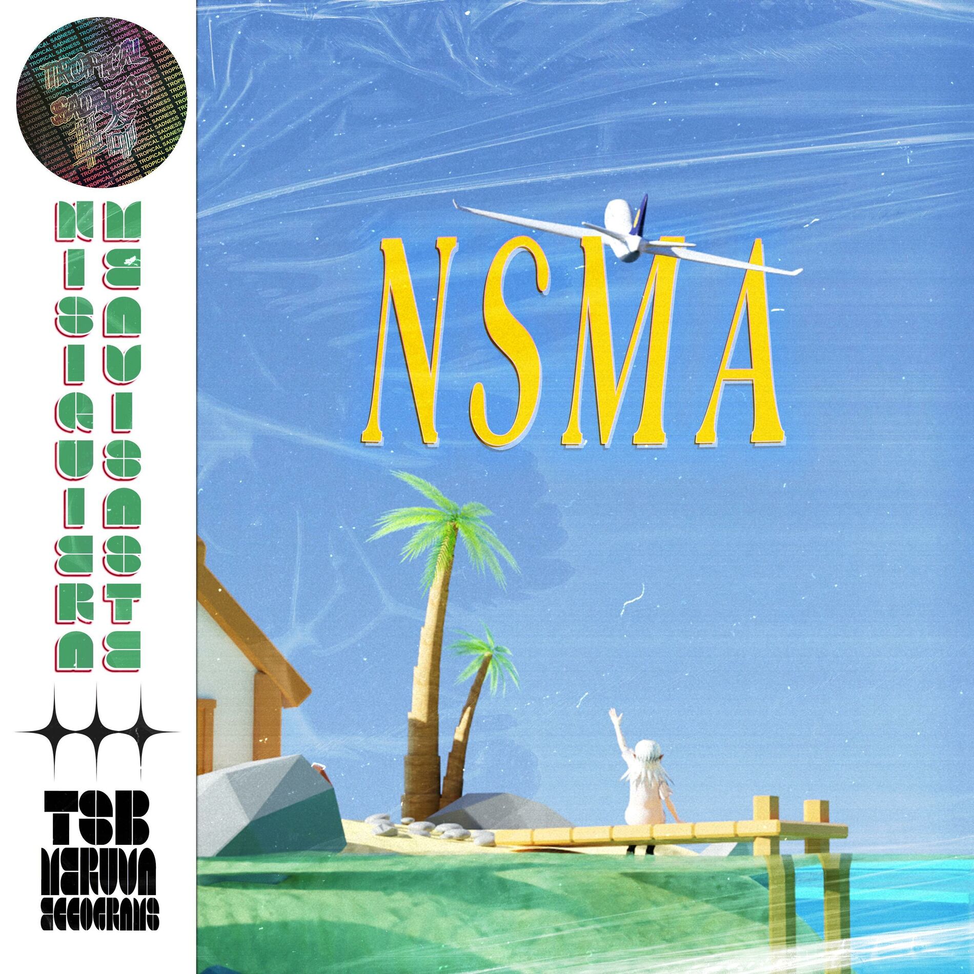 Album cover of NSMA (nisiquierameavisaste)