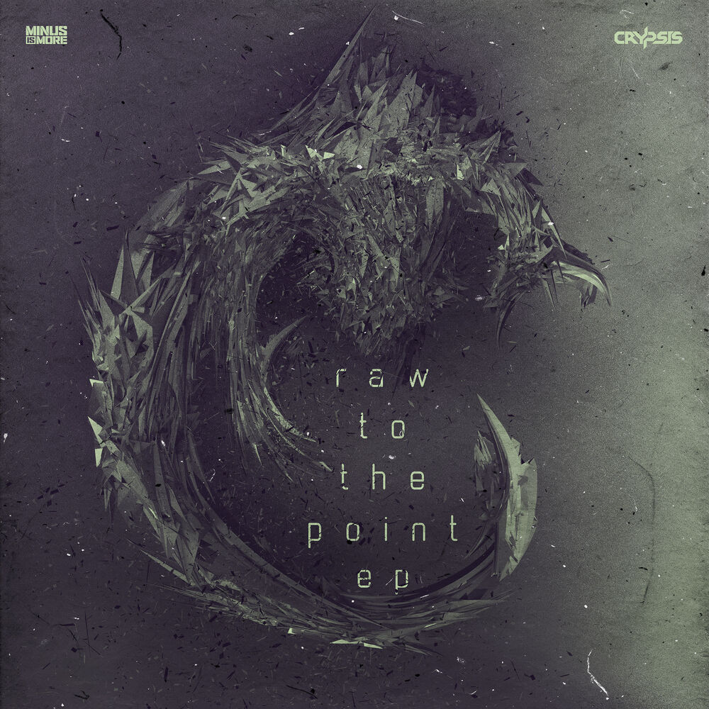 Picture of Raw To The Point EP