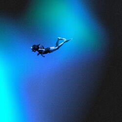 Cover of Sinkin' Slow