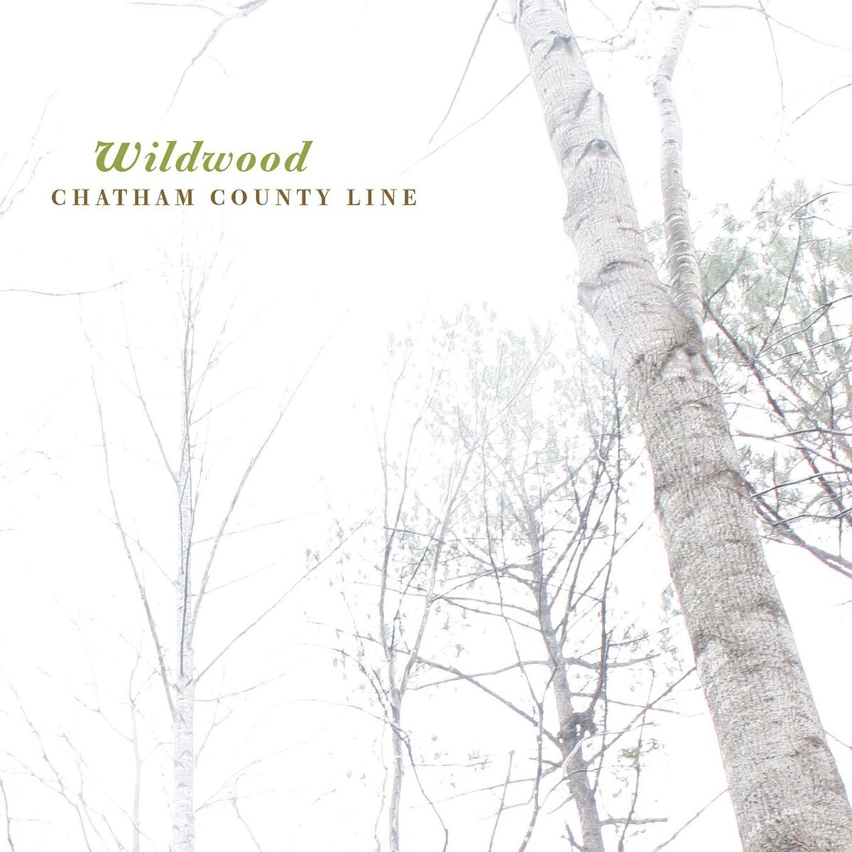 Album cover of Porcelain Doll
