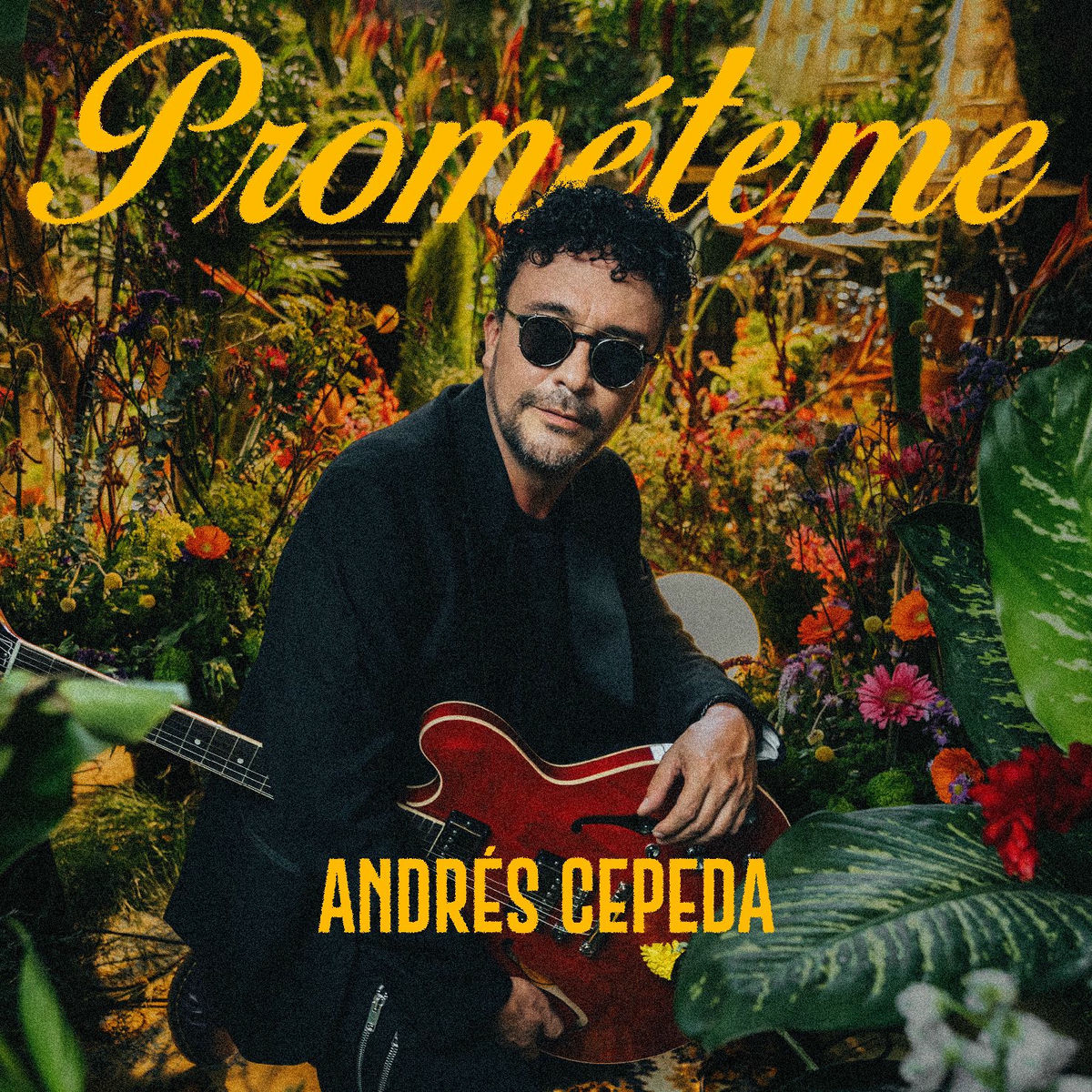 Album cover of Prométeme