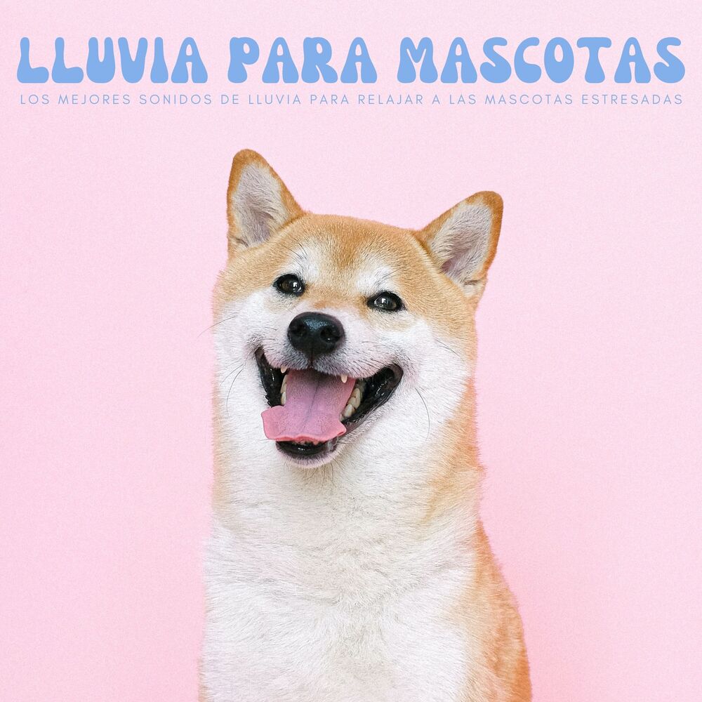 Picture of Lluvia Para Mascotas: Los Mejores Sonidos De Lluvia Para Relajar A Las Mascotas Estresadas