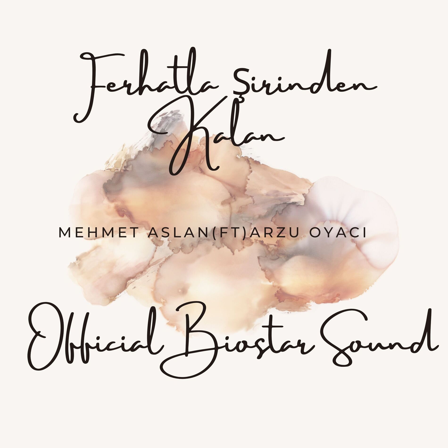 Album cover of Ferhatla Şirinden Kalan