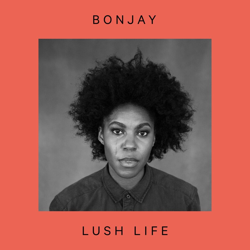 Picture of Lush Life