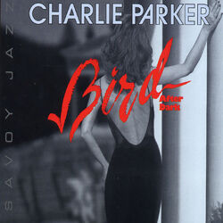 Cover of Bird After Dark