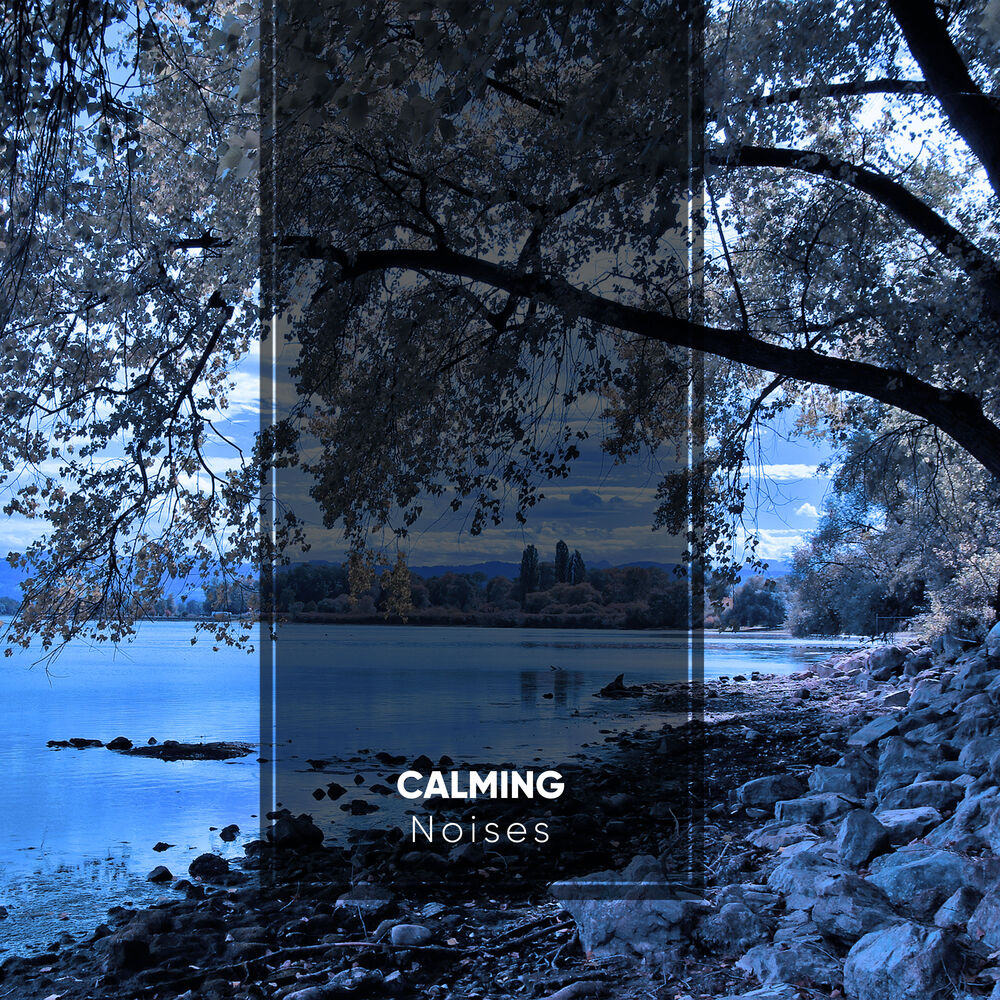 Picture of Calming Noises for Meditation
