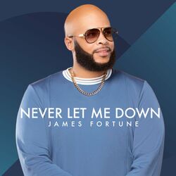Cover of Never Let Me Down