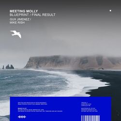 Cover of Blueprint / Final Result