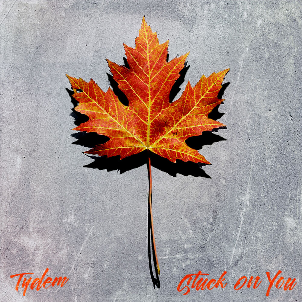 Picture of Stuck on You