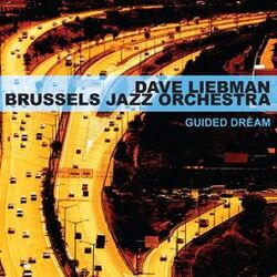 Cover of Guided Dream (Live)