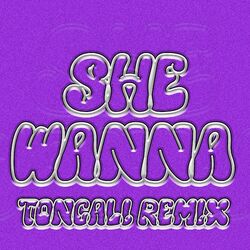 Cover of She Wanna (Toncali Remix)