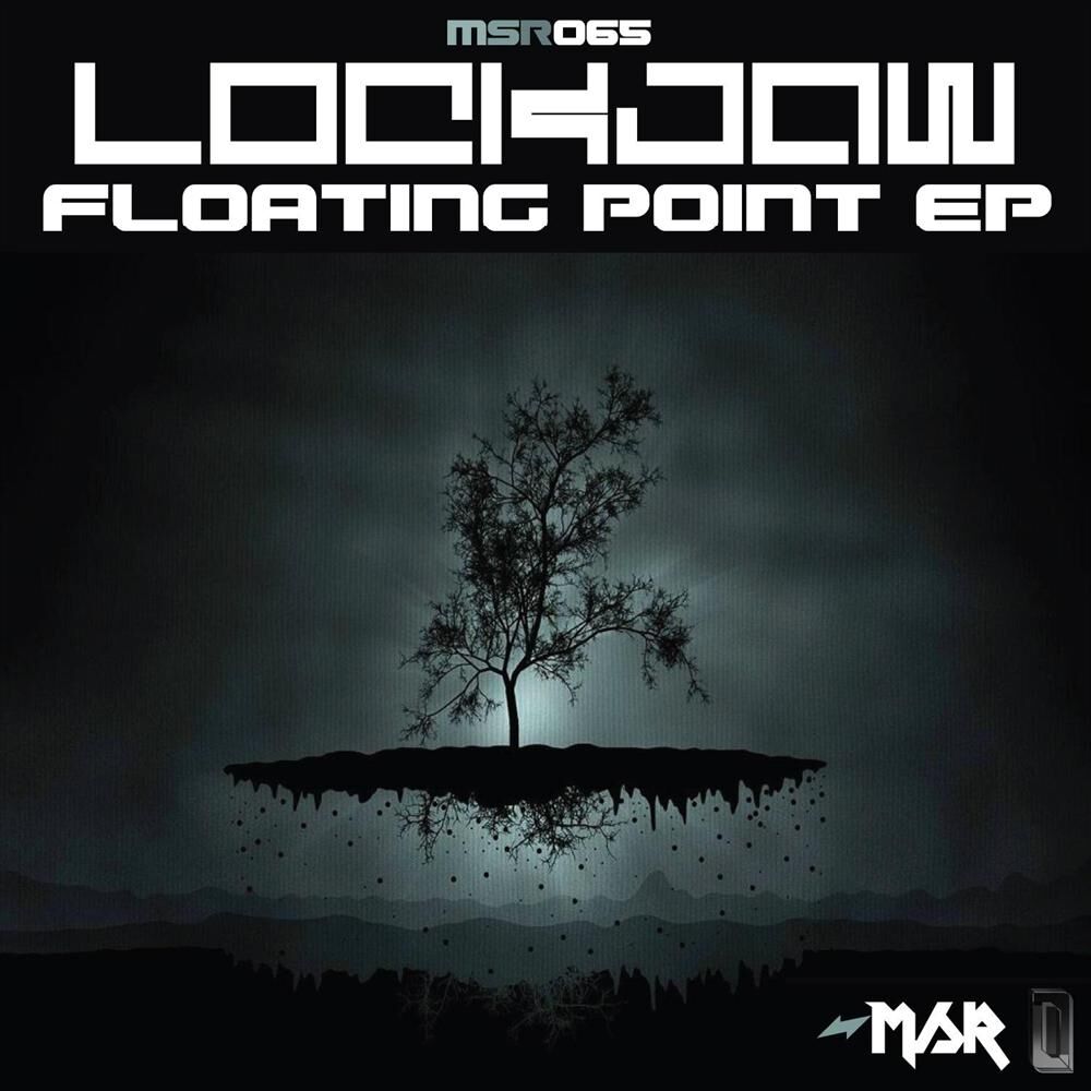 Picture of Floating Point EP