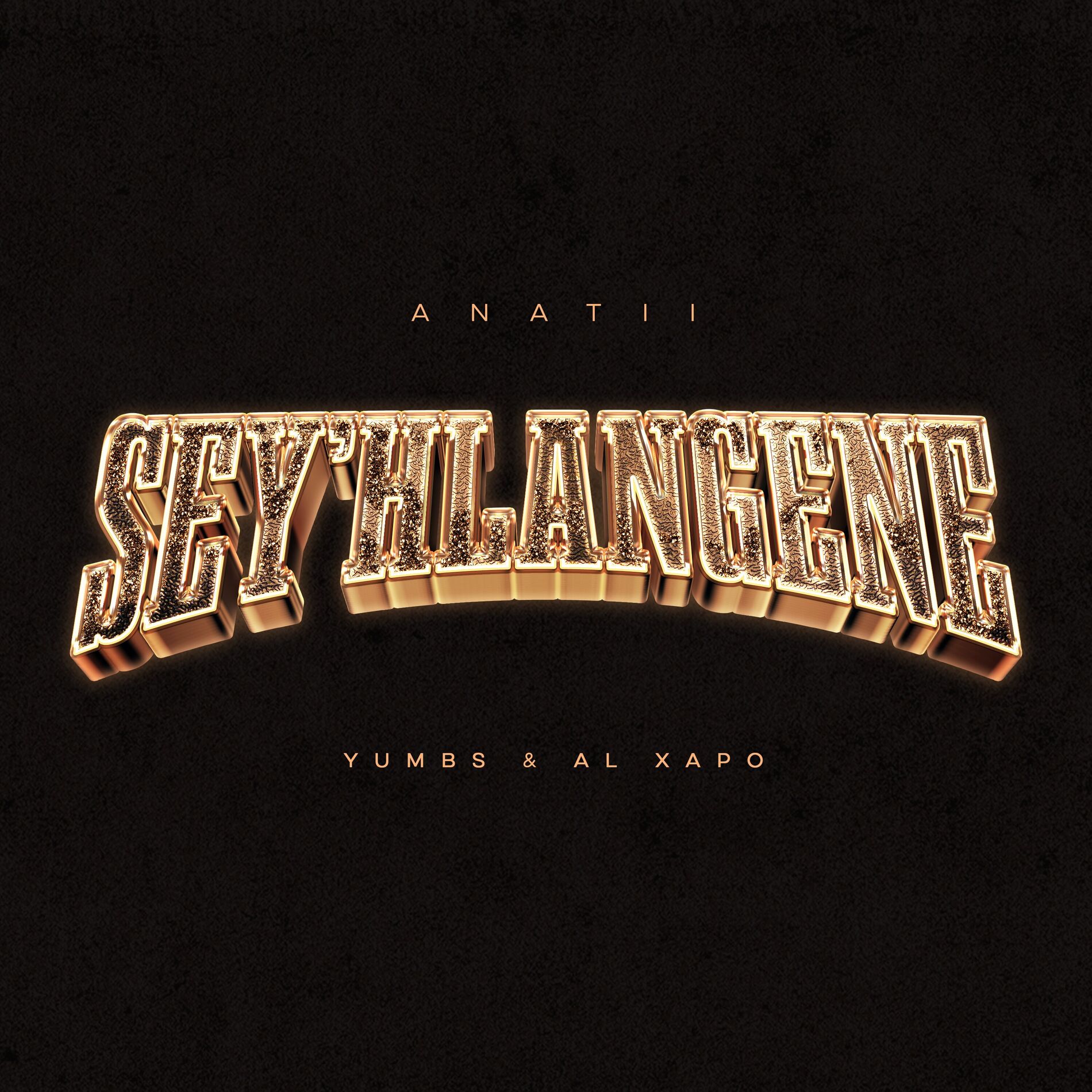 Album cover of SEY'HLANGENE