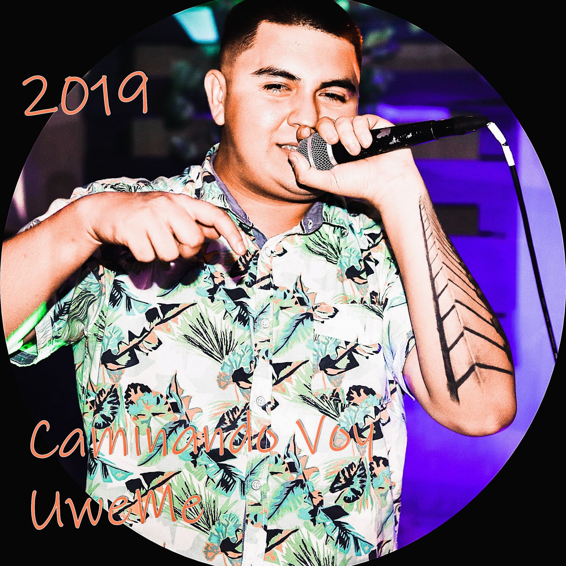 Album cover of Caminando Voy