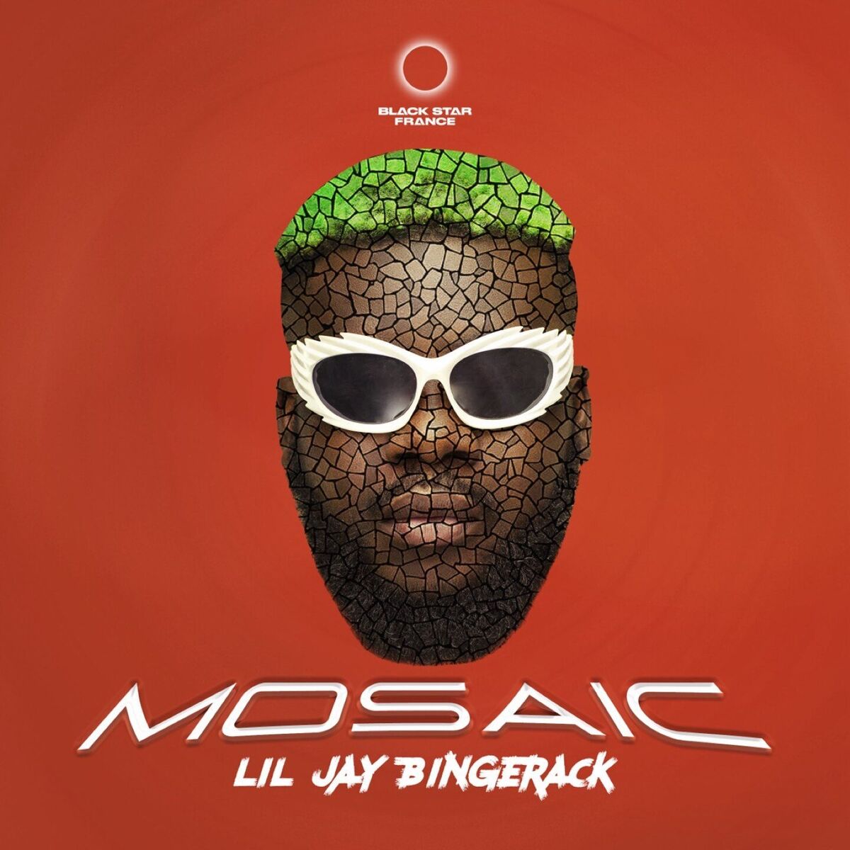 Album cover of Mosaic