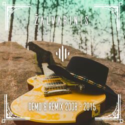 Cover of Demo & Remix (2008 - 2015)