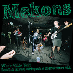 Cover of Where Were You?: Hen's Teeth and Other Lost Fragments of Un-Popular Culture Vol.2