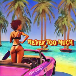 Cover of Never Too Much