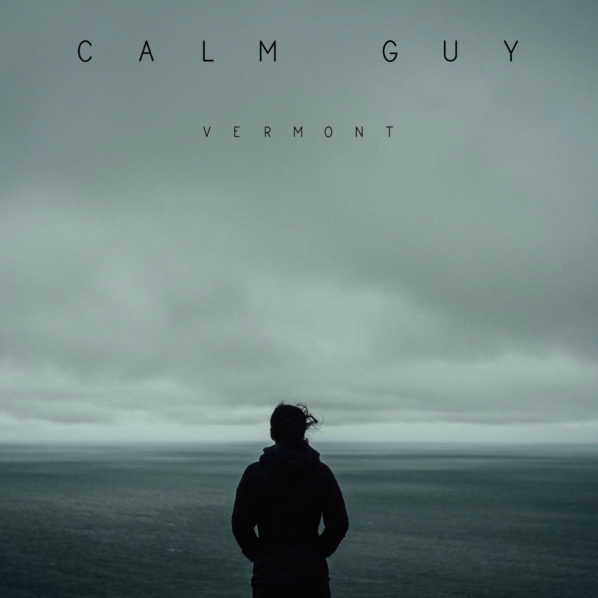 Album cover of Calm Guy