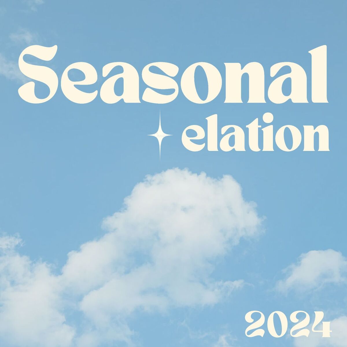 Album cover of Seasonal Elation 2024