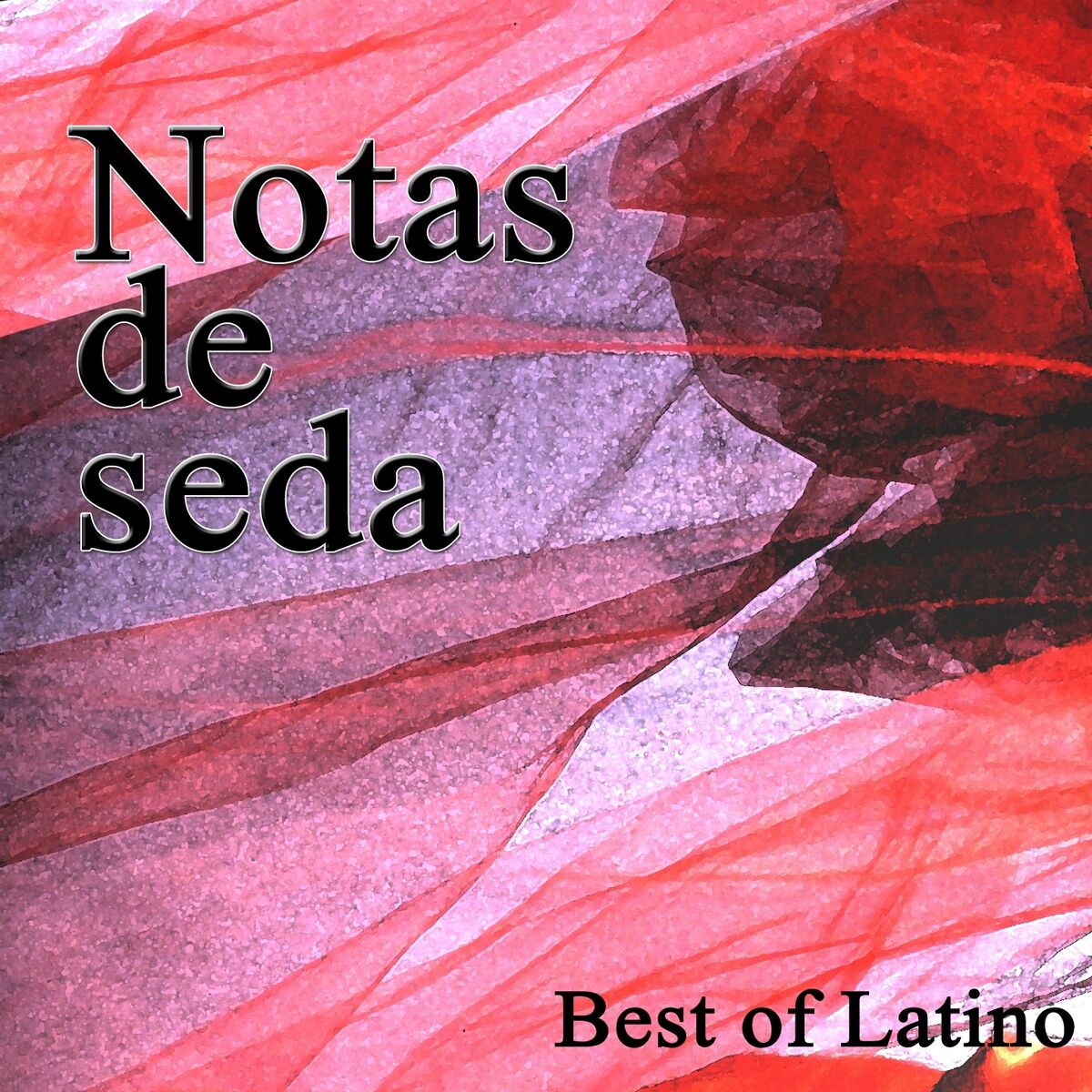 Album cover of Notas de Seda