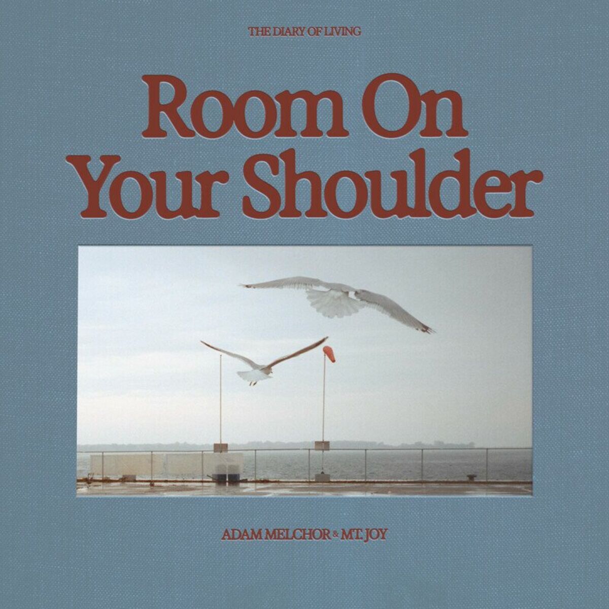 Album cover of Room On Your Shoulder