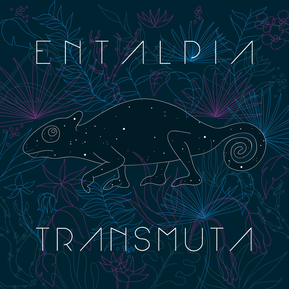 Picture of Transmuta