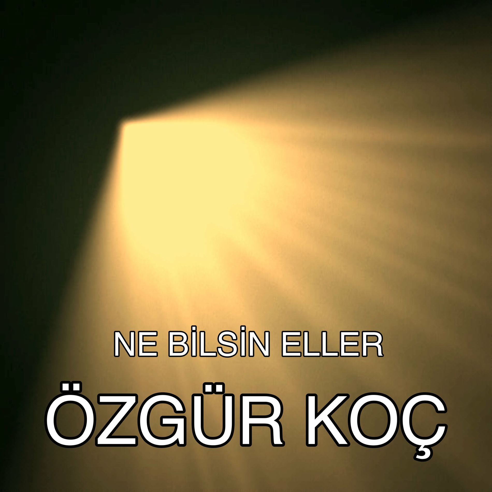 Album cover of Ne Bilsin Eller