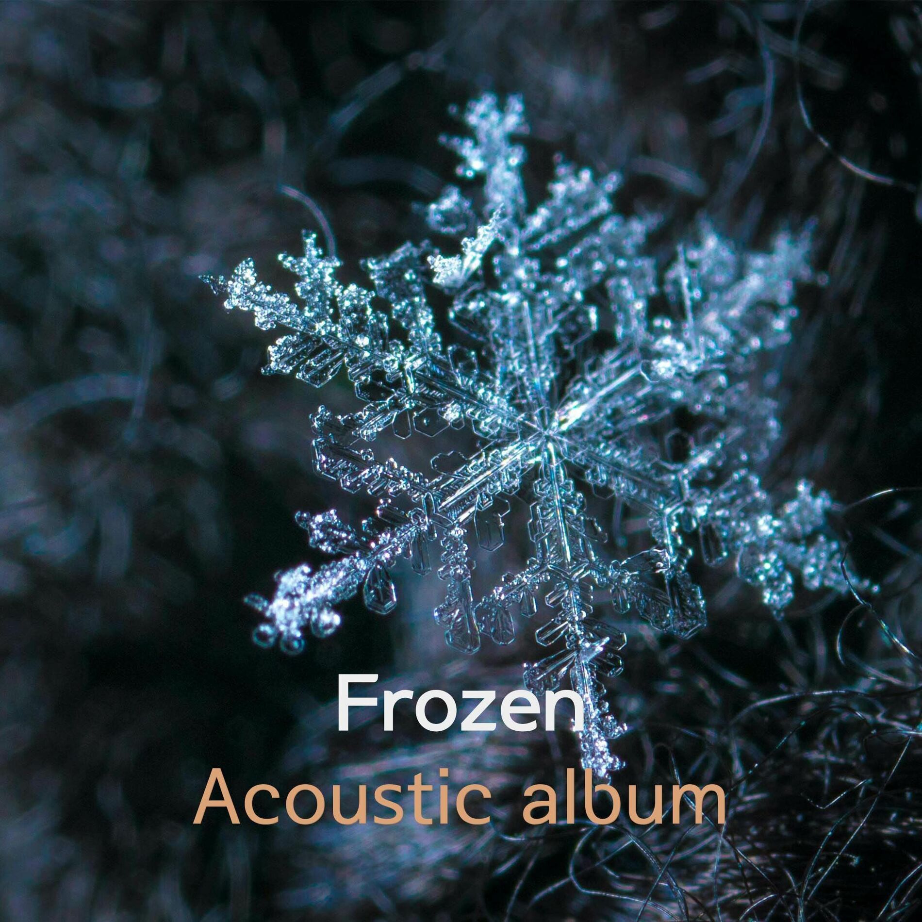Album cover of Let It Go