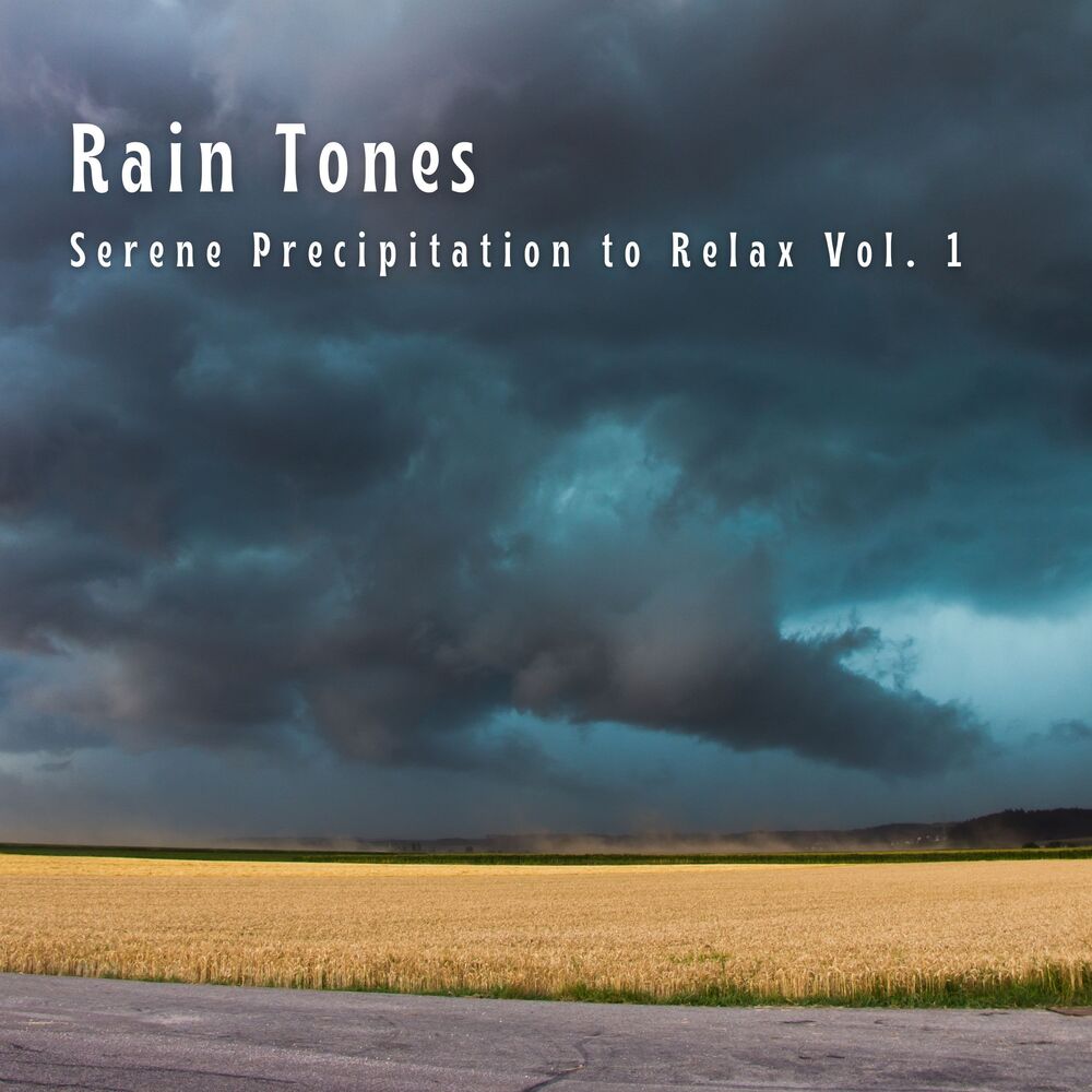Picture of Rain Tones: Serene Precipitation to Relax Vol. 1
