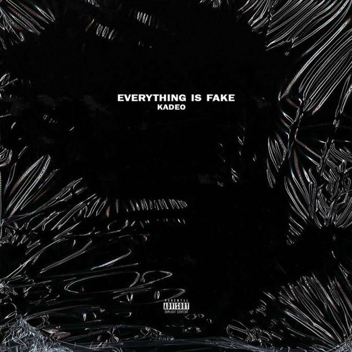 Album cover of Everything Is Fake
