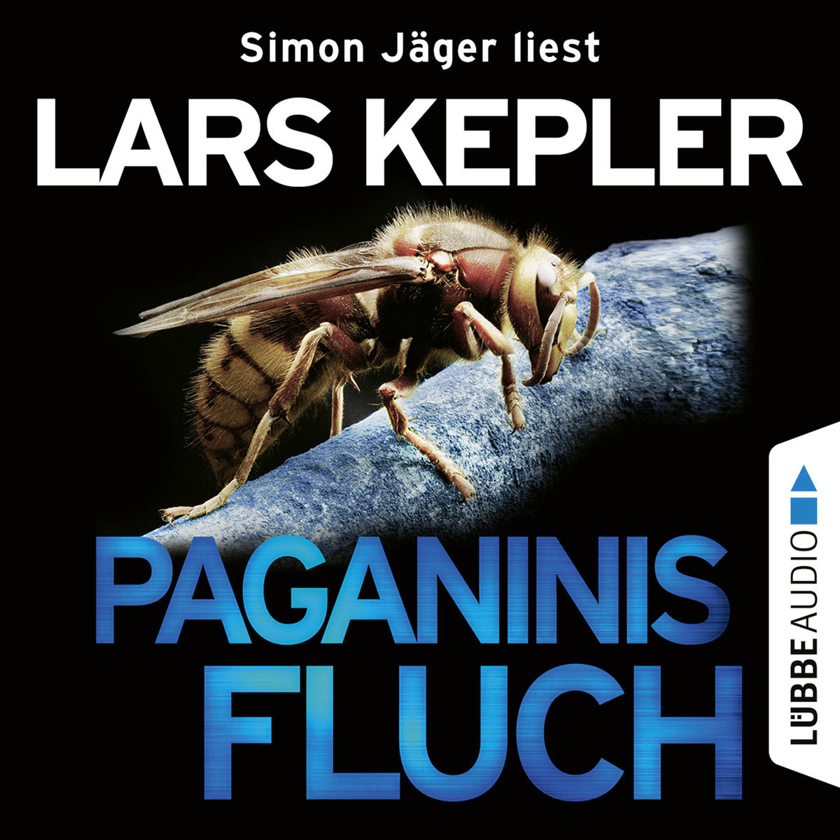 Album cover of Paganinis Fluch - Joona Linna, Teil 2 (Ungekürzt)