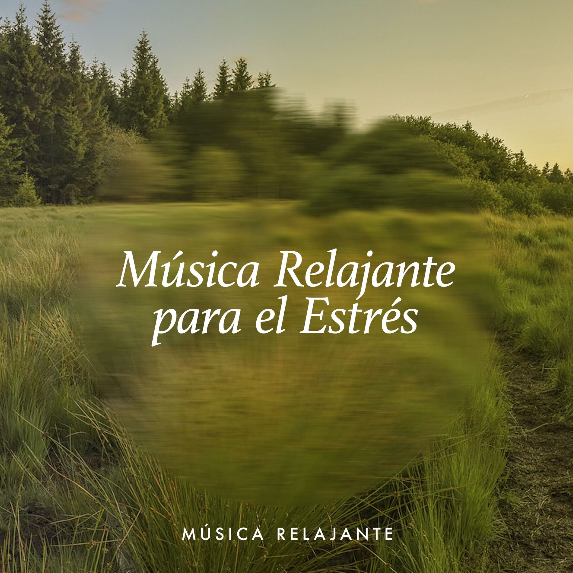 Album cover of Música Relajante para el Estrés