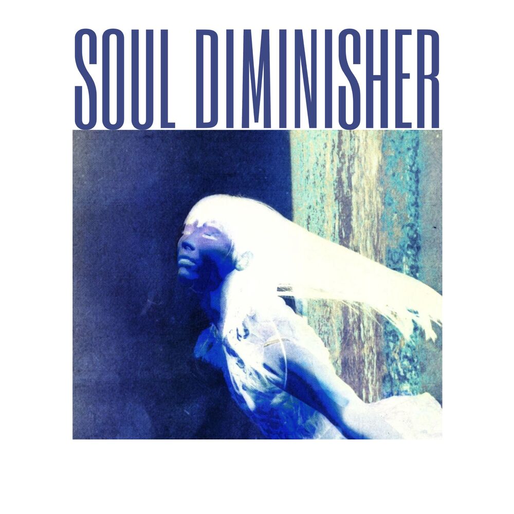 Picture of Soul Diminisher