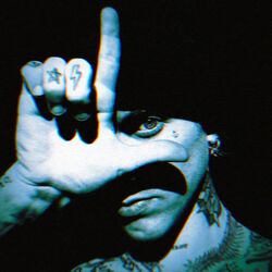 Cover of Born To Lose