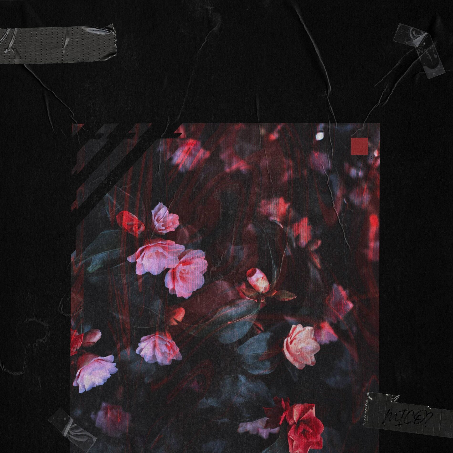 Album cover of Iris (feat. MICO)