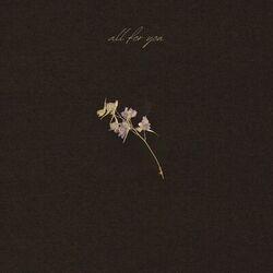 Cover of All For You