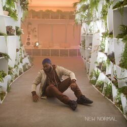 Cover of New Normal