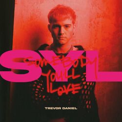 Cover of SYL