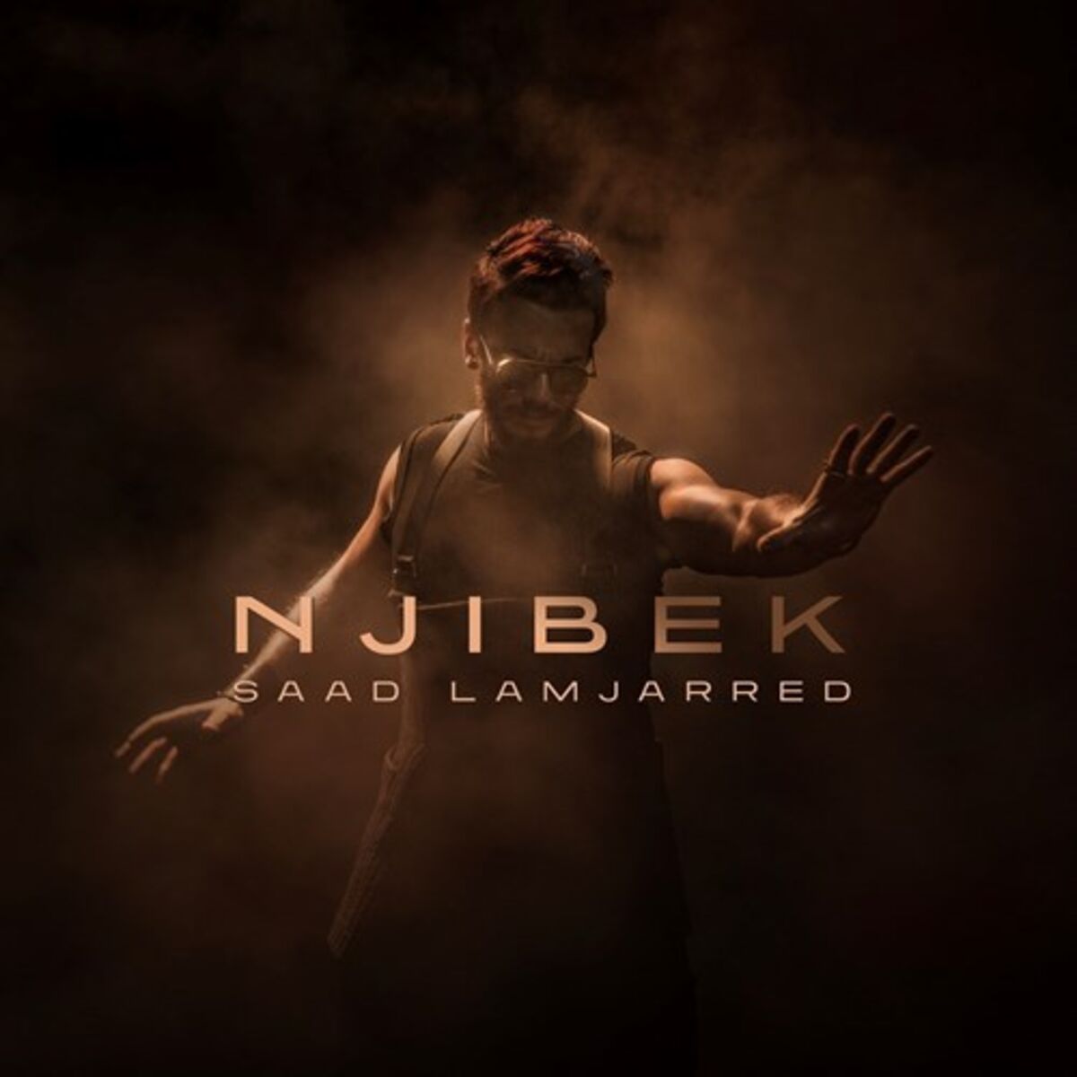 Album cover of Njibek