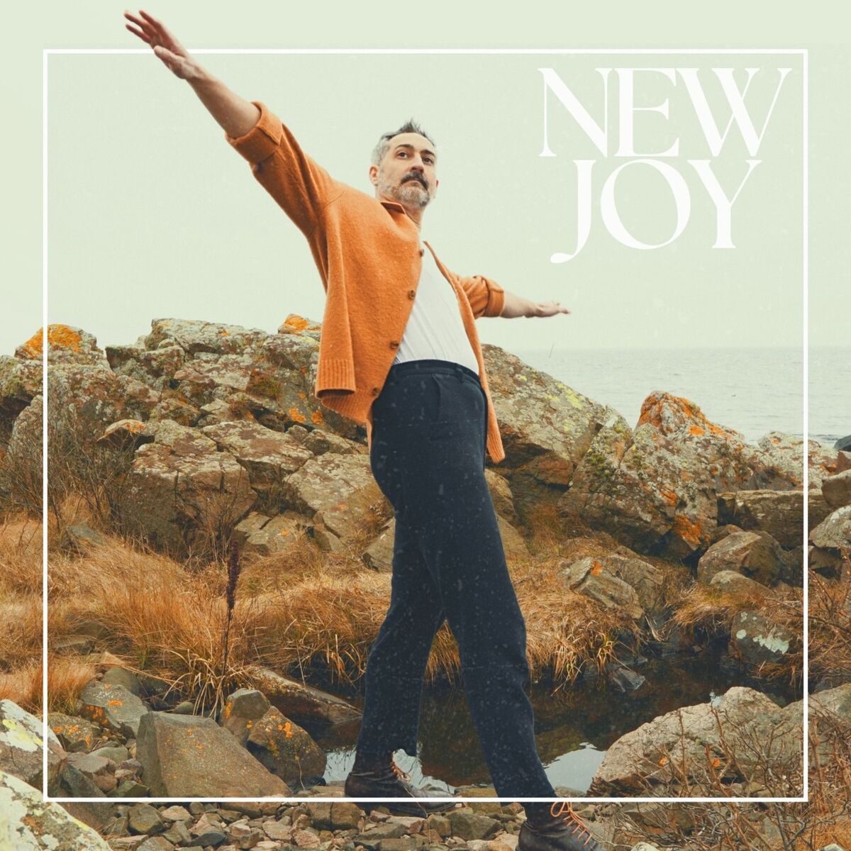 Album cover of New Joy