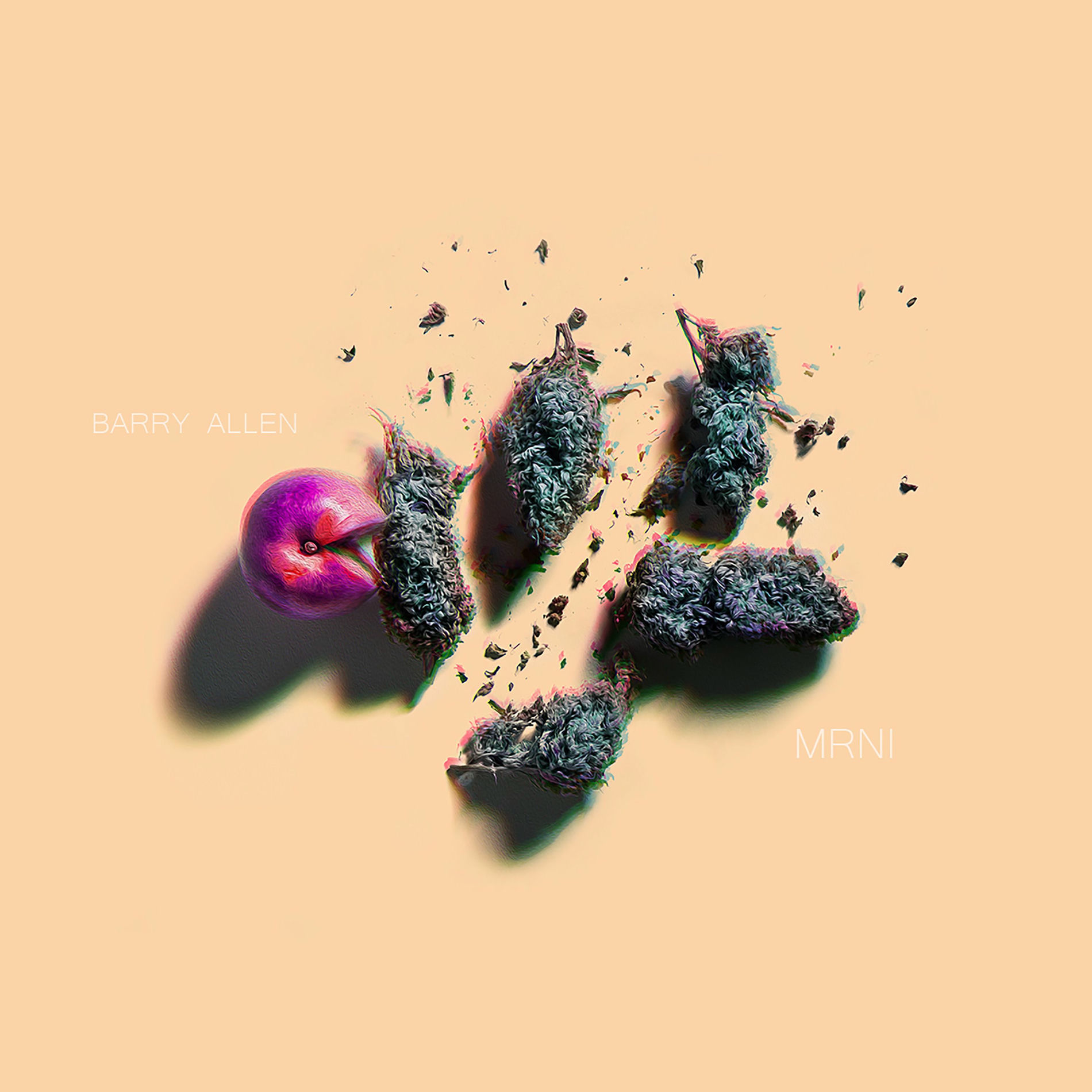 Album cover of MRNI