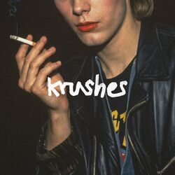 Cover of Rocker In The Disco