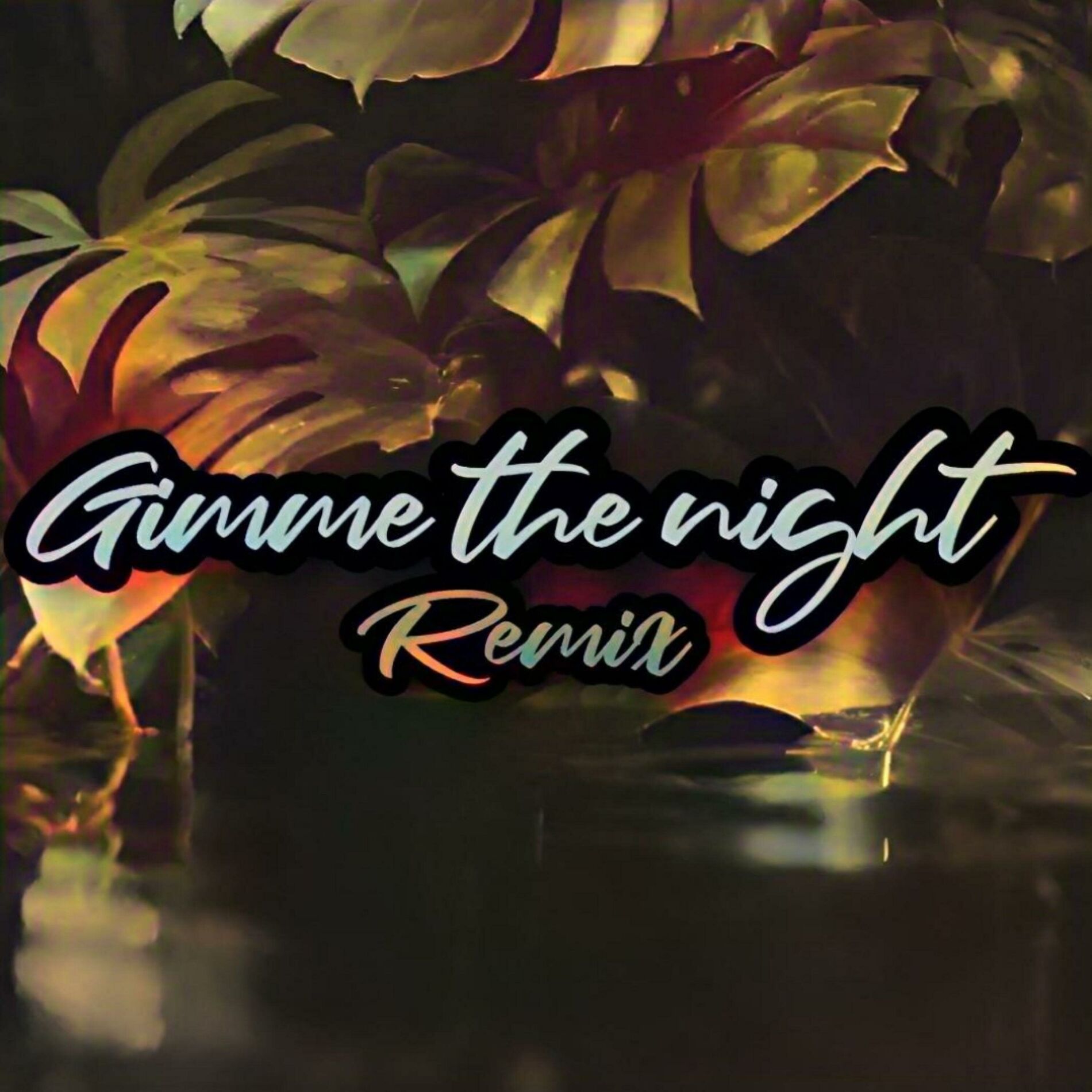 Album cover of Gimme The Night